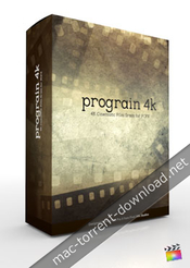 Pixel film studios prograin 4k for fcpx icon