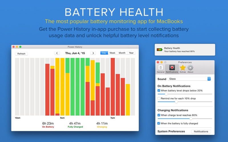 3_Battery_Health_Monitor_Stats.jpg