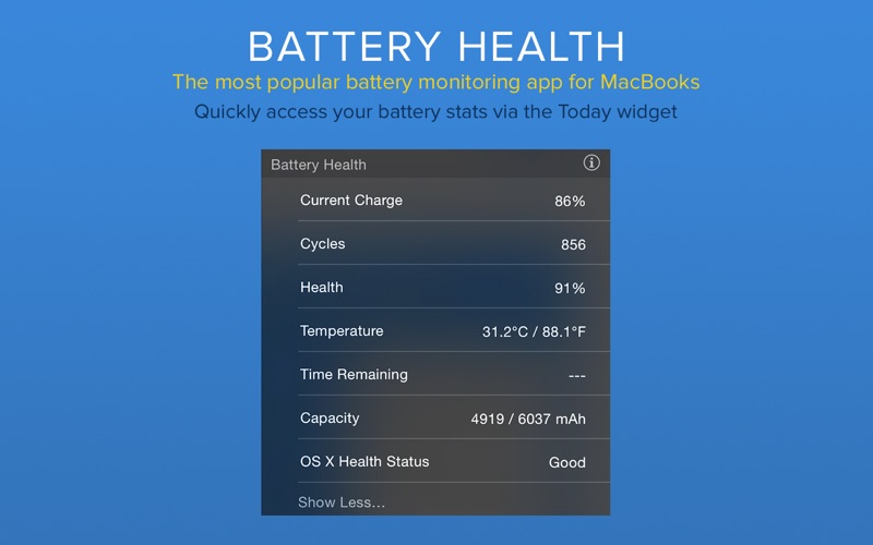4_Battery_Health_Monitor_Stats.jpg