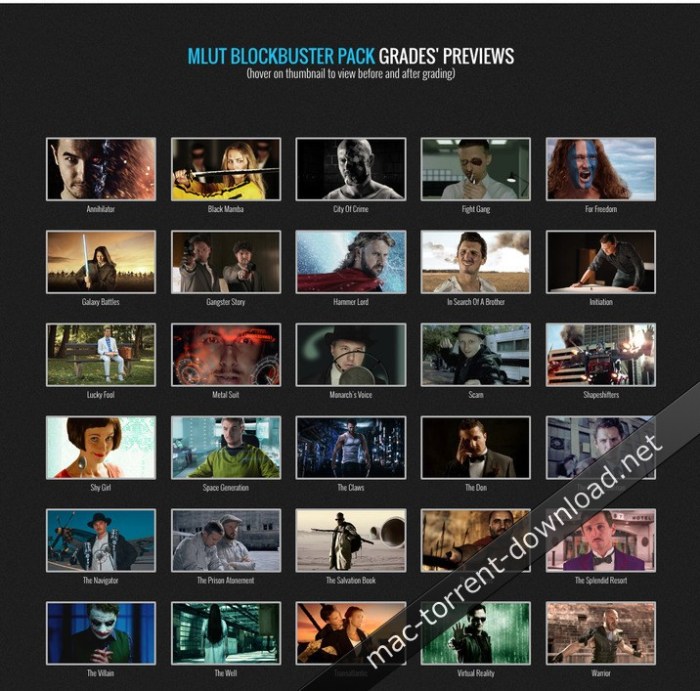 motionvfx_mlut_blockbuster_pack_30_professional_cinematic_color_look_up_tables_pc_mac