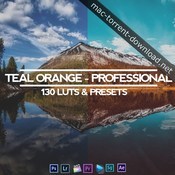 Teal and orange professional all in one 130 luts and presets icon