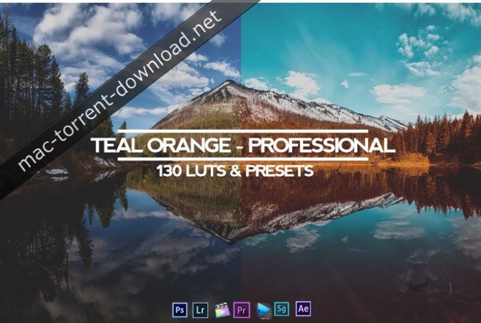 TEAL AND ORANGE - PROFESSIONAL ALL IN ONE (RMN) 130 LUTS & PRESETS