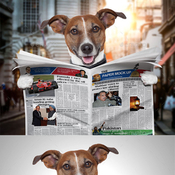 Dog newspaper mock up 12723946 icon