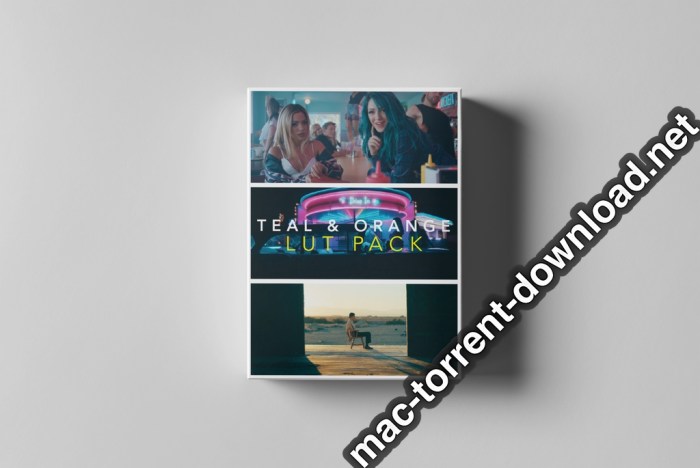Tropic Colour All LUTs Collections for Final Cut Pro Adobe Resolve Screenshot 07 t4r296n