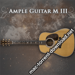 Ample Sound Ample Guitar M III icon