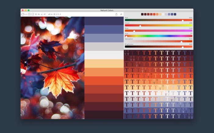 Color Palette from Image Screenshot 1 dtfewjn