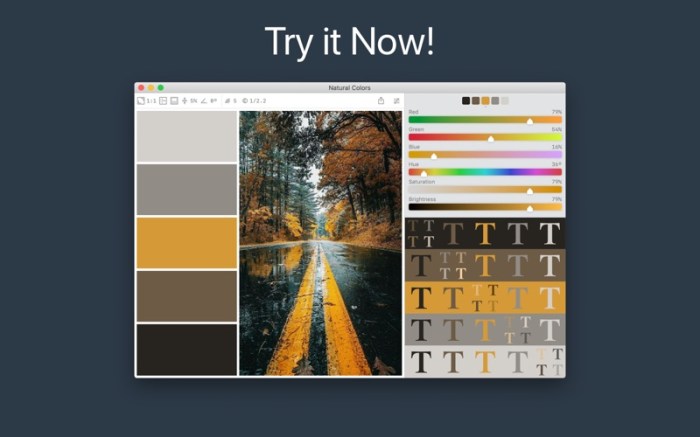 Color Palette from Image Screenshot 5 dtfewjn