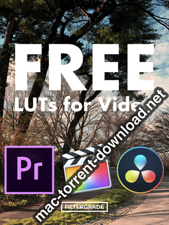 Colorful LUTs Pack for Vlogging (Win/Mac)