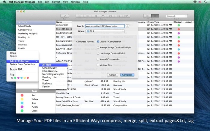 PDF Manager Ultimate Screenshot 04 19u21gby