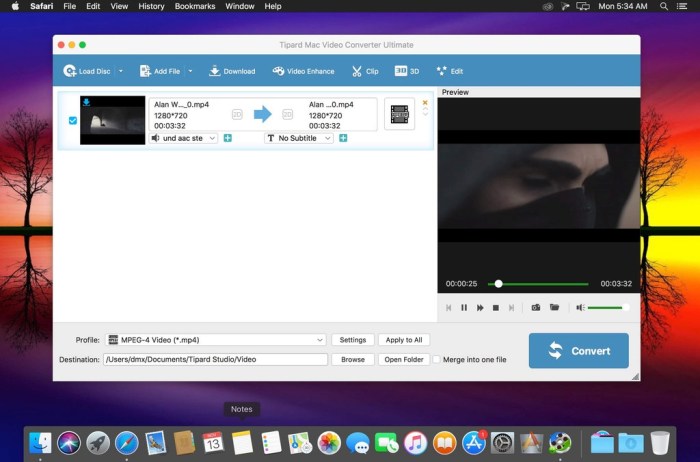 Tipard Mac Video Converter Ultimate 9218 Screenshot 03