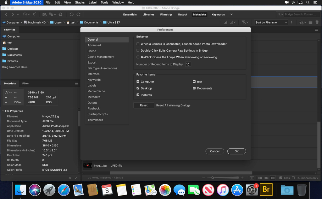 Adobe Bridge 2020 v1000124 Screenshot 03 m8axkiy