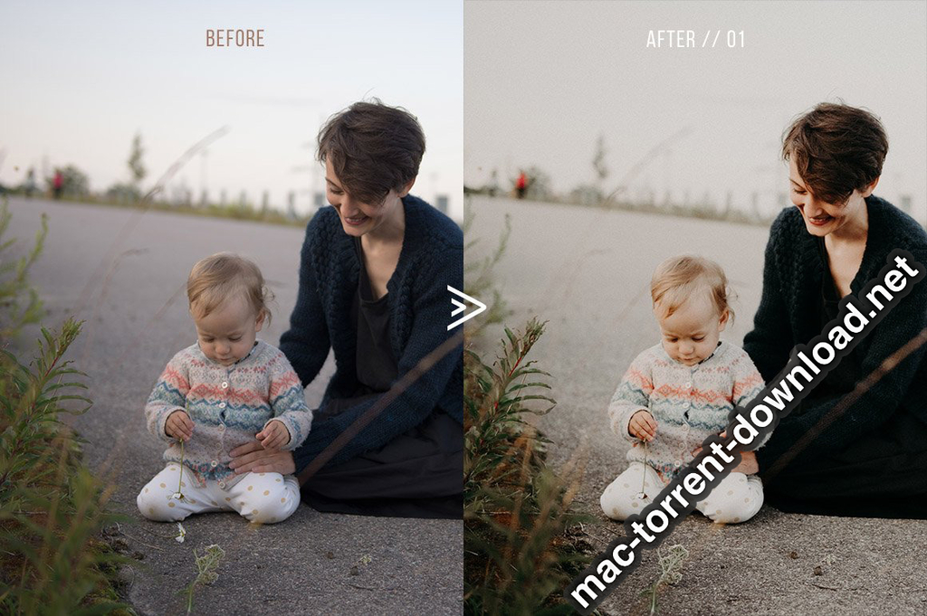 Grassland 3D LUTs for Photoshop AE Premiere Resolve and FCP X Win macOS Screenshot 02 1geqkyln