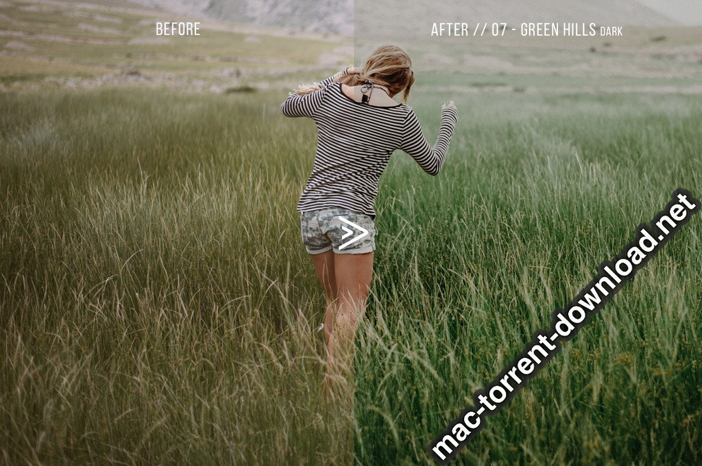Grassland 3D LUTs for Photoshop AE Premiere Resolve and FCP X Win macOS Screenshot 08 1geqkyln