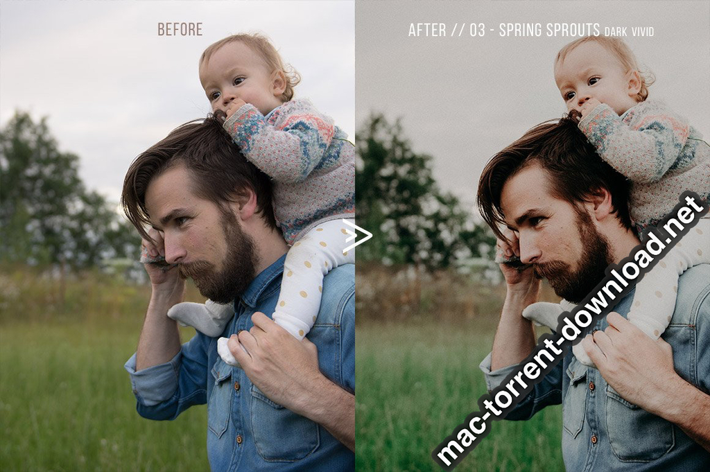 Grassland 3D LUTs for Photoshop AE Premiere Resolve and FCP X Win macOS Screenshot 10 1geqkyln