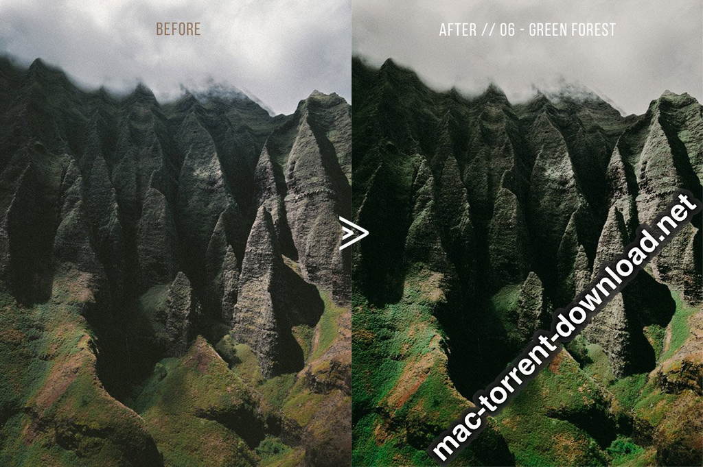 Grassland 3D LUTs for Photoshop AE Premiere Resolve and FCP X Win macOS Screenshot 12 1geqkyln