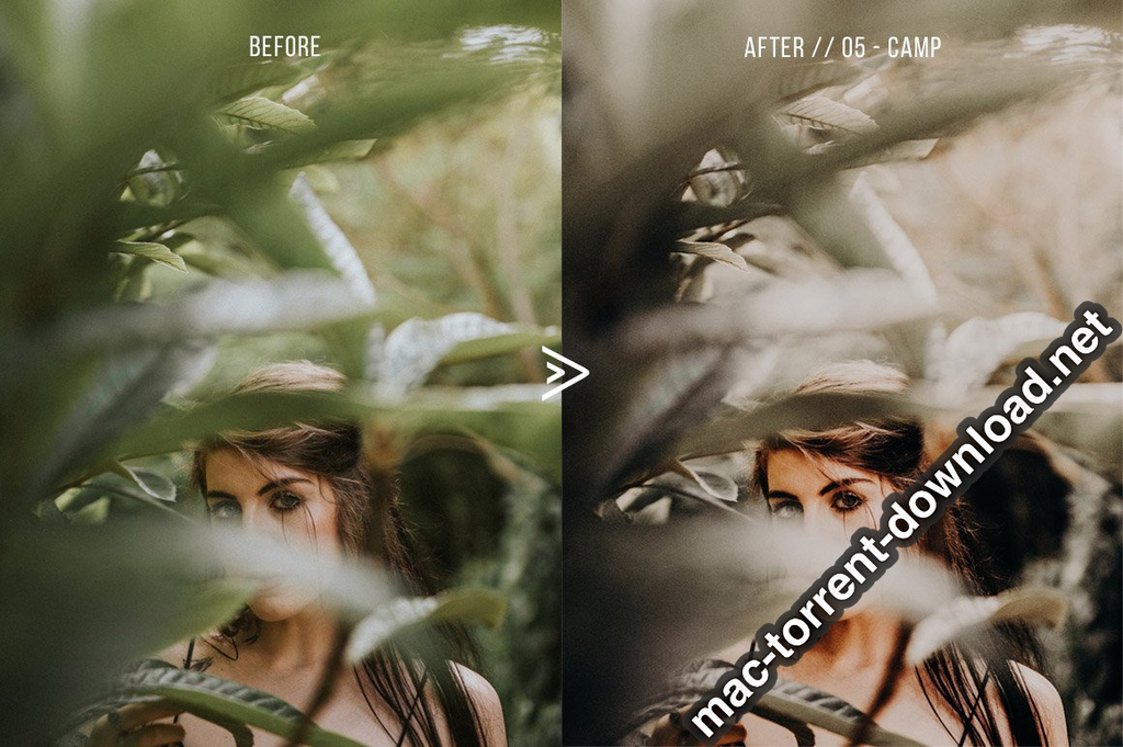 Grassland 3D LUTs for Photoshop AE Premiere Resolve and FCP X Win macOS Screenshot 13 1geqkyln