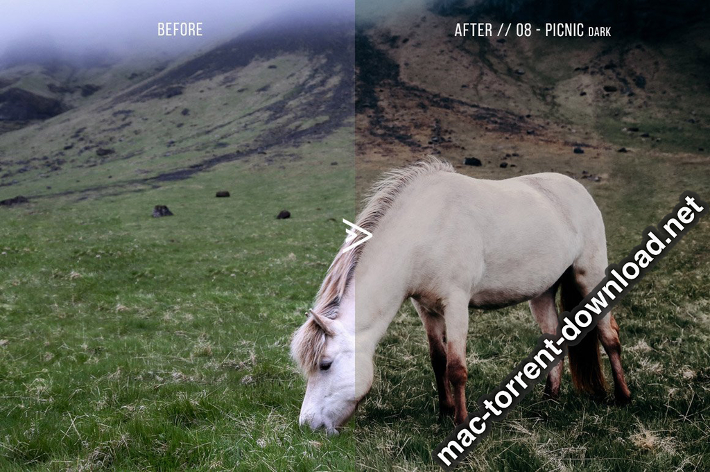 Grassland 3D LUTs for Photoshop AE Premiere Resolve and FCP X Win macOS Screenshot 14 1geqkyln