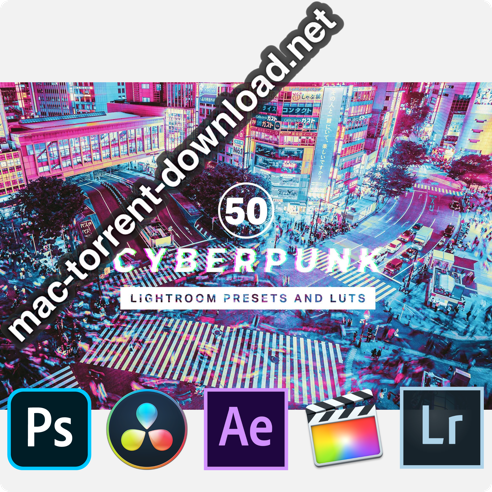 50 Cyberpunk Lightroom Presets LUTs icon