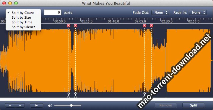 AppleMacSoft MP3 Splitter 501 Screenshot 02 t7fiagy